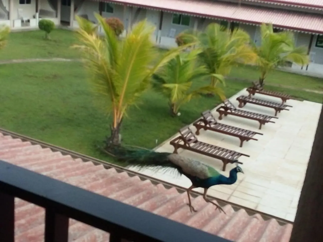 Hotel Nilakma Lagoon Negombo